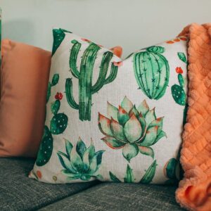 A stylish living room setup with cactus-themed pillow and soft orange blanket.